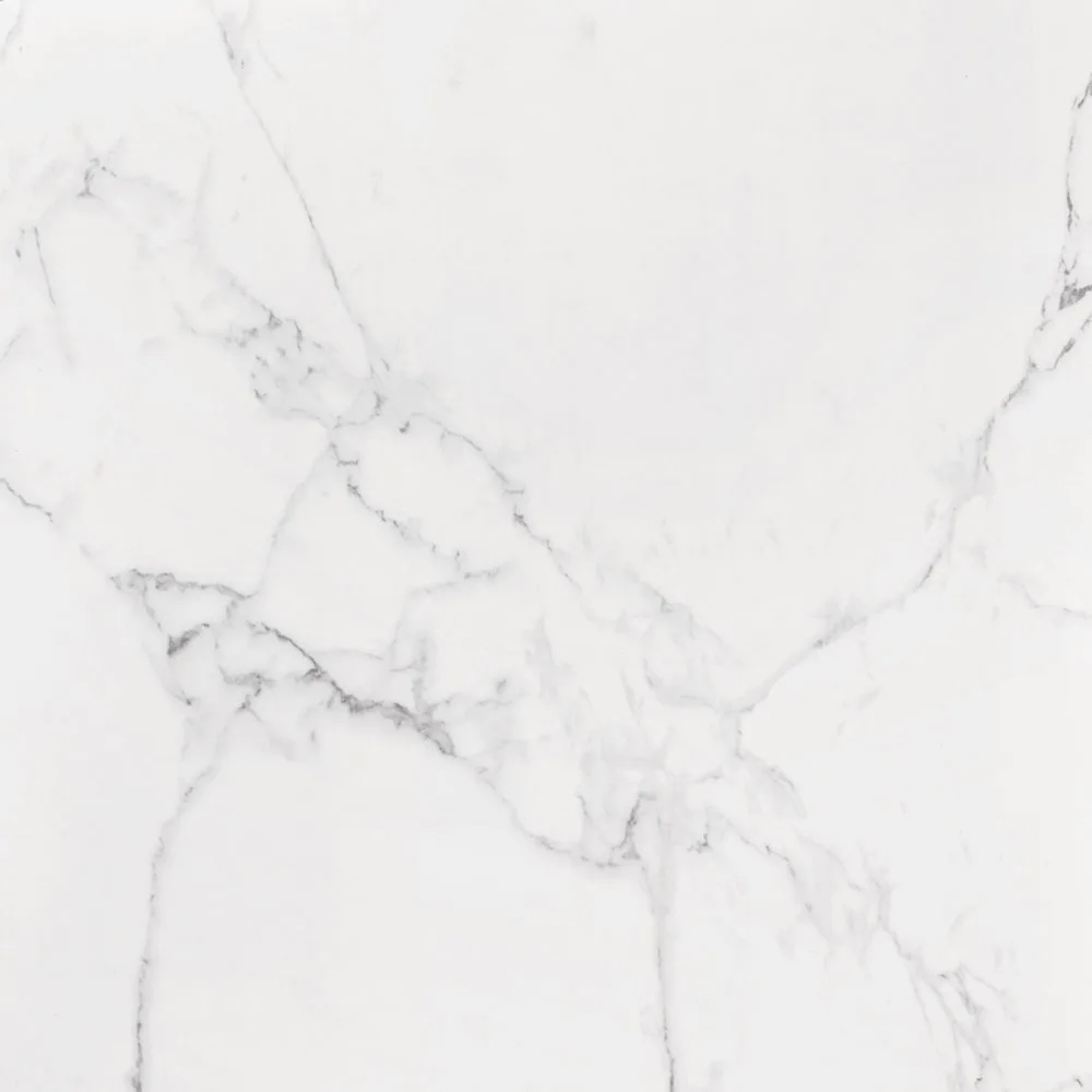 Porcelanato Roca LM Carrara Mt 120x120